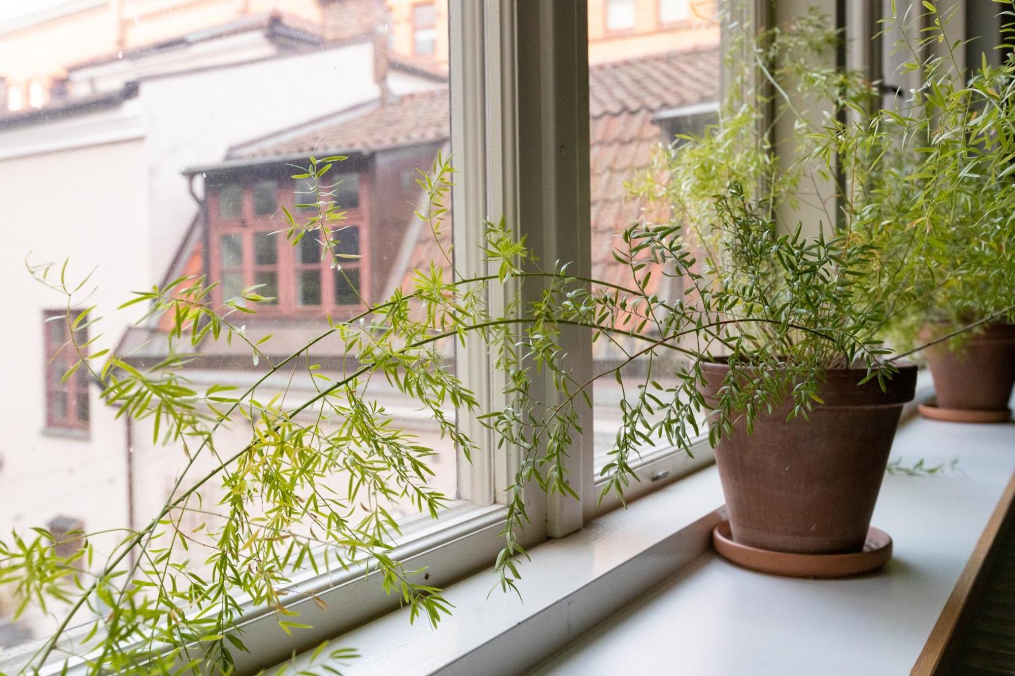 Stf Hostel Stigbergsliden Гьотеборг Екстериор снимка